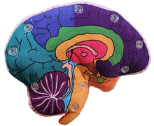 Load image into Gallery viewer, Brain: Stuffed Brain Model - Classroom Set
